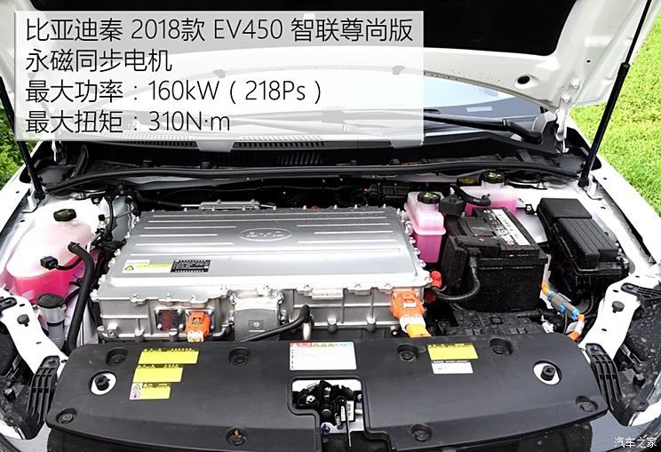 BYD Qin 2018 Qin EV450 Zhilian Zunshang Type